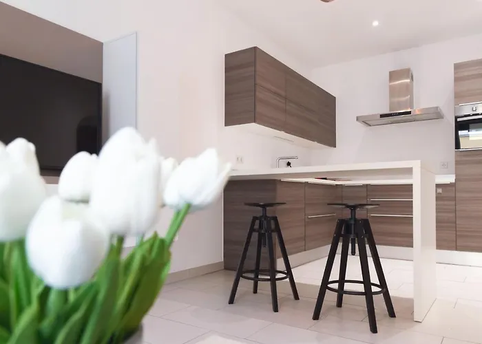 Apartamento Origer By Rentaroo Luxemburgo