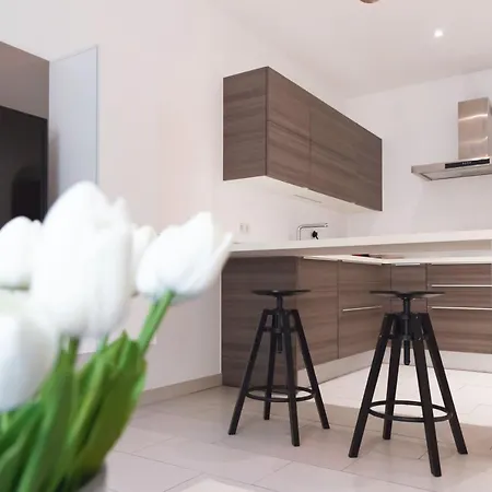 Apartament Origer By Rentaroo Luksemburg